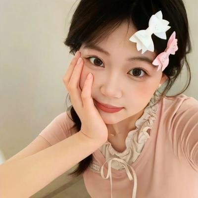 间谍之桥